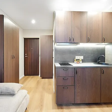 Stylish Brown Near The Center Apartamento