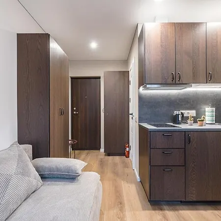 Apartment Stylish Brown Near The Center *