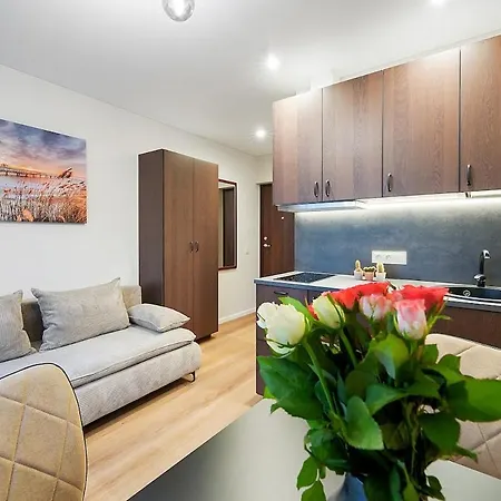 Apartment Stylish Brown Near The Center Vilnius